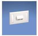 Panduit NetKey Horizontal Sloped Screw-On Faceplate - Faceplate - bianco spento - 1 modulo - 2 porte