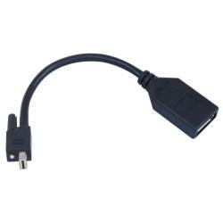 Matrox TripleHead2go upgrade - Adattatore DisplayPort - Mini …