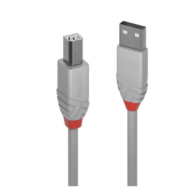 Lindy Anthra Line - Cavo USB - USB (M) a USB Tipo B (M) - USB 2.0 - 1 m - di forma rotonda - grigio