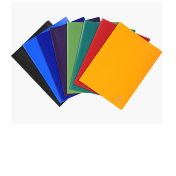 Exacompta Opaque - Porta listini - 10 compartimenti - 20 viste - per A4 - colori assortiti