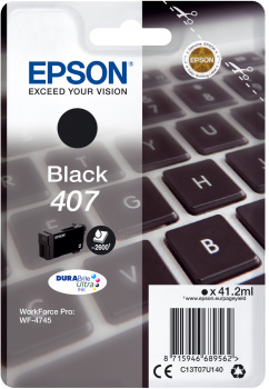 Epson 407 - 41.2 ml - taglia L …