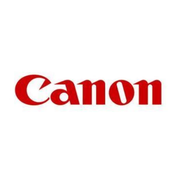 Canon PFI-300 M - Magenta - originale - serbatoio inchiostro - per imagePROGRAF PRO-300
