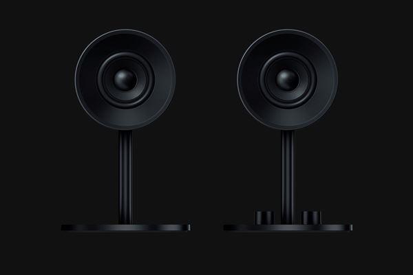Razer Nommo - Altoparlanti - per PC - canale 2.0