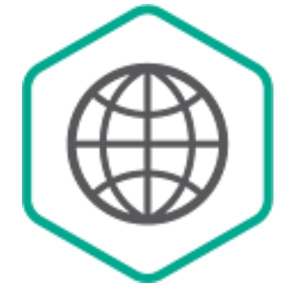 Kaspersky Security for Internet Gateway - Licenza a termine (3 anni) - 1 licenza aggiuntiva - volume - Livello N (20-24) - Linux, Win, FreeBSD - Europa