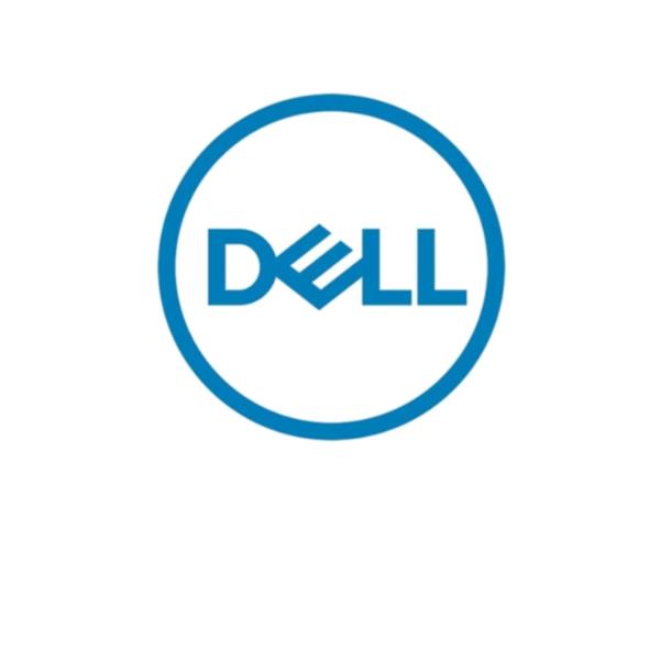 Dell - SSD - 480 GB - interno …
