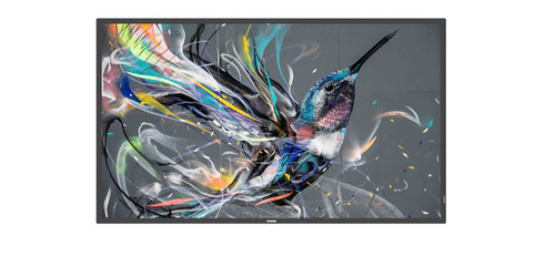 Philips 32BDL3511Q - 32" Categoria diagonale (31.5" visualizzabile) - Q-Line Display LCD retroilluminato a LED - segnaletica digitale - 1080 p 1920 x 1080