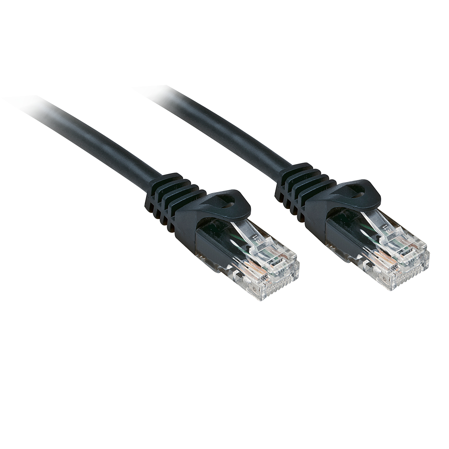 Lindy Basic - Cavo patch - RJ-45 (M) …