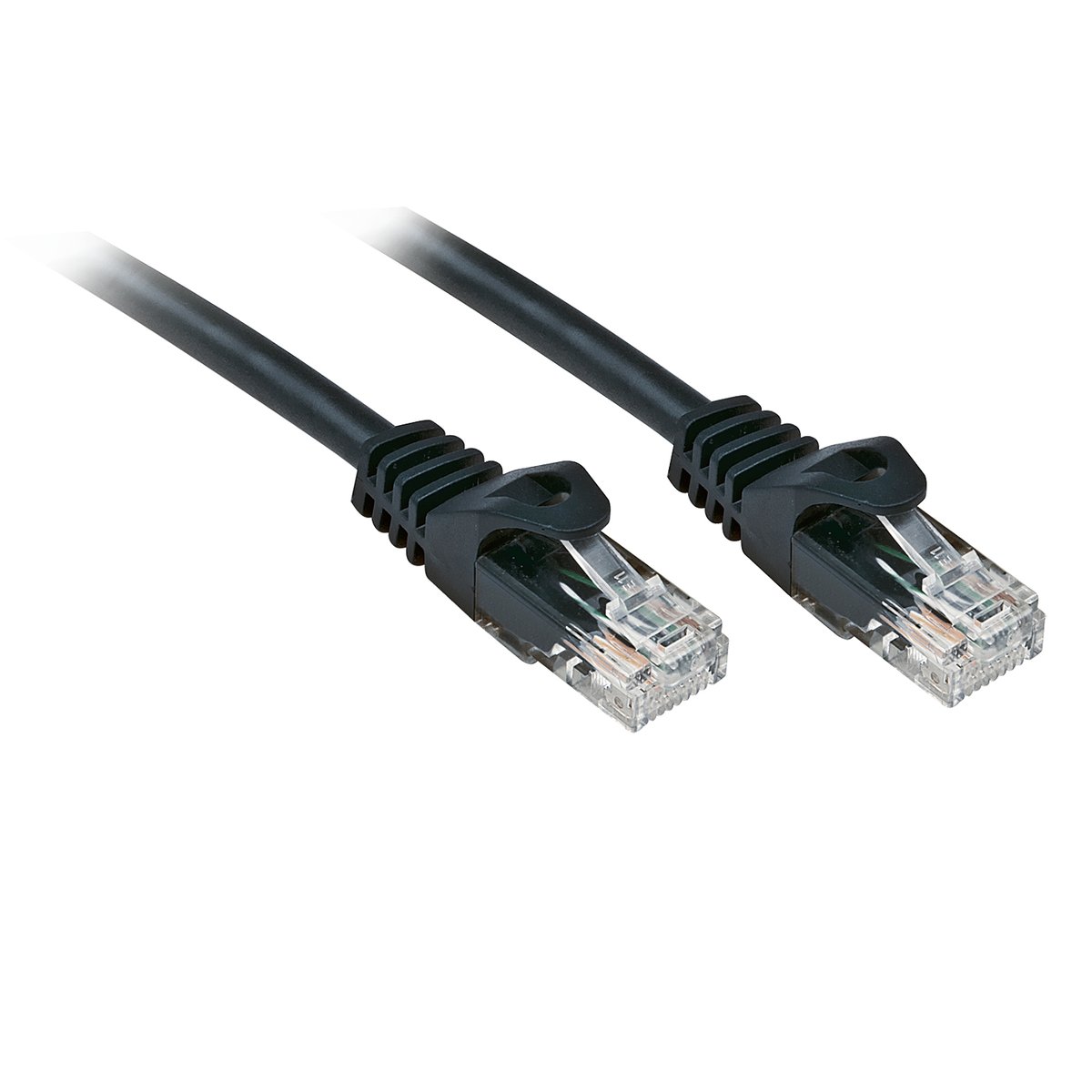 Lindy Basic - Cavo patch - RJ-45 (M) …