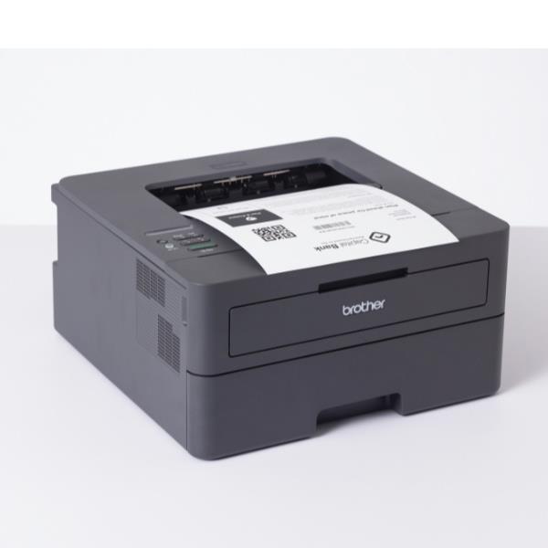 Brother - Stampante laser - monocromatica - HL-L2445DW