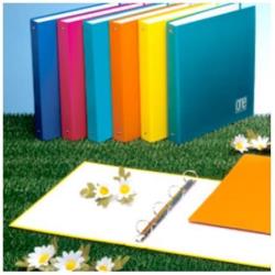 Blasetti One Color - Quaderno ad anelli - …