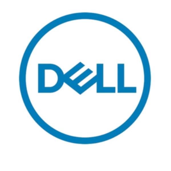 Dell - HDD - 4 TB - hot …