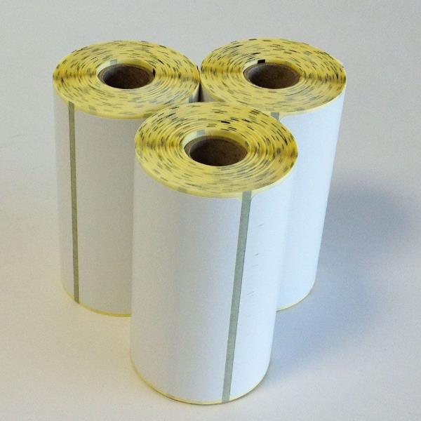 Zebra Z-Perform 1000D - Carta - adesivo acrilico permanente - Non rivestita - perforato - 101.6 x 101.6 mm 2400 etichette (16 rotolo(i) x 150) etichette - per QLn 420