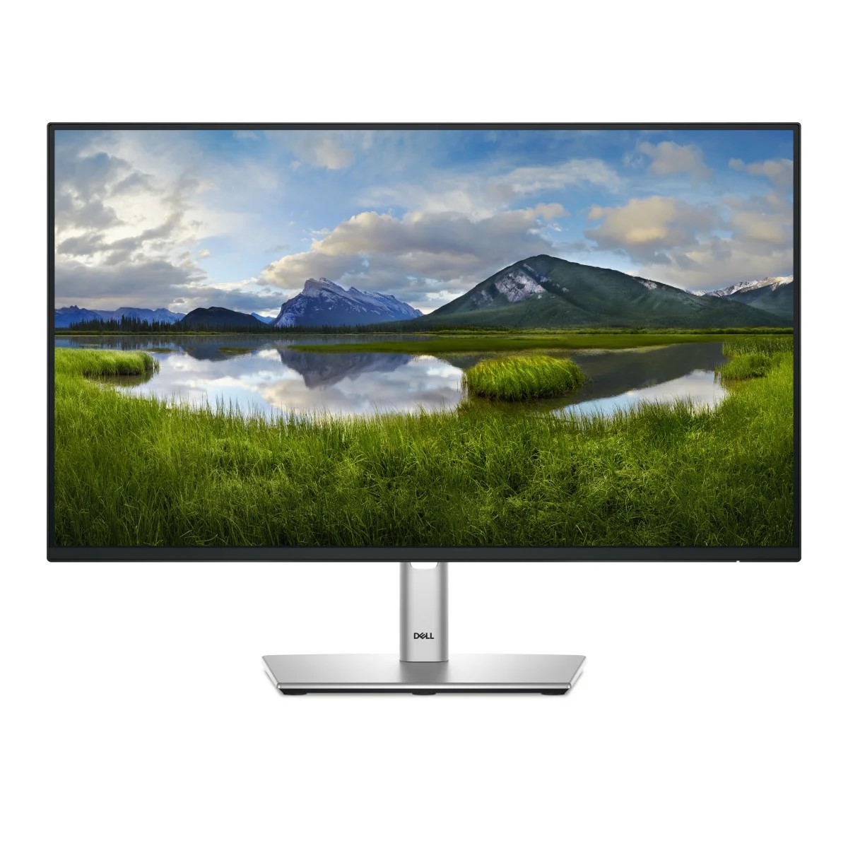 Dell P2425HE - Monitor a LED - 24" (23.81" visualizzabile) - 1920 x 1080 Full HD (1080p) @ 100 Hz - IPS - 250 cd/m² - 1500:1 - 5 ms - HDMI, DisplayPort, USB-C - BTO - con 3 anni di assistenza hardware di base con Advanced Exchange dopo la diagnosi da remoto