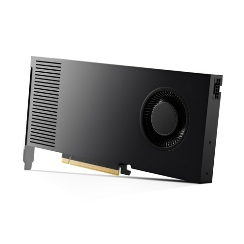 NVIDIA RTX 4000 Ada Generation - Scheda grafica …