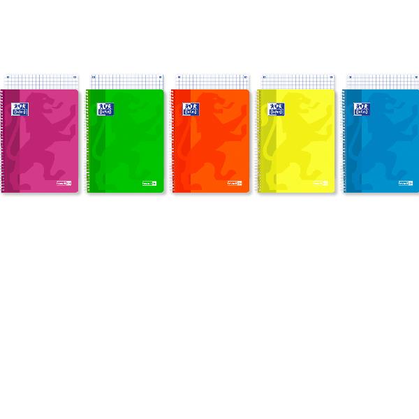 BLOCCHI QUADERNI E RUBRICHE - FAVORIT ON NEON