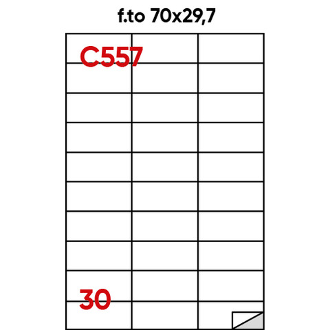Etichette adesive C/557 - in carta - permanenti - 70 x 297 mm - 30 et/fg - 100 fogli - bianco - Markin