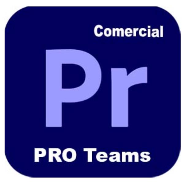 Adobe Premiere Pro for teams - Nuovo abbonamento (1 anno) - 1 utente - GOV - Adobe Value Incentive Plan (VIP) Marketplace - Livello 1 (1-9) - Win, Mac - Multi North American Language