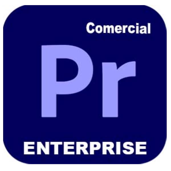 Adobe Premiere Pro for Enterprise - Nuovo abbonamento …