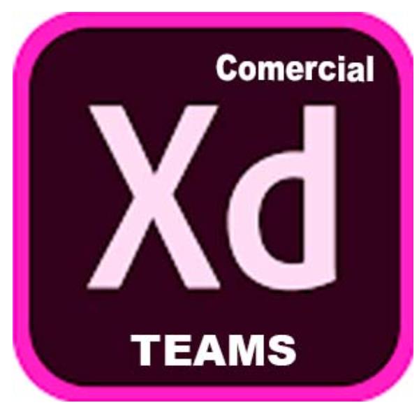 Adobe XD for teams - Nuovo abbonamento (1 …