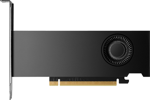 NVIDIA RTX 2000 Ada - Scheda grafica - NVIDIA RTX 2000 Ada - 16 GB GDDR6 - 4 x Mini DisplayPort