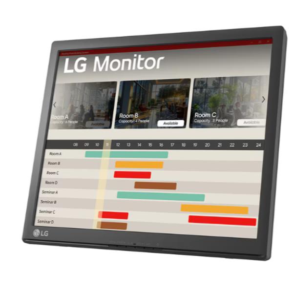 LG Monitor Desktop - 17BR30T-B.AEU