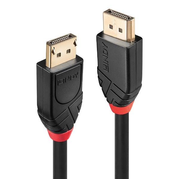 Lindy - Cavo DisplayPort - DisplayPort (M) a …