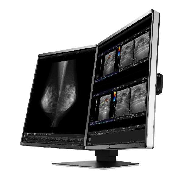 Eizo RadiForce RX560-MD