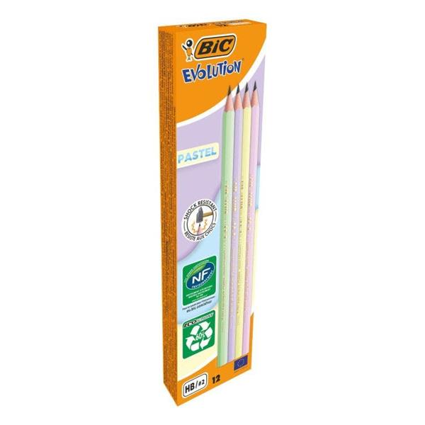 Bic 518307