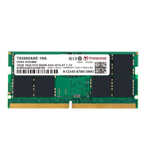 Transcend - DDR5 - modulo - 16 GB - SO DIMM 262-pin - 5600 MHz / PC5-44800 - CL46 - 1.1 V - senza buffer - on-die ECC