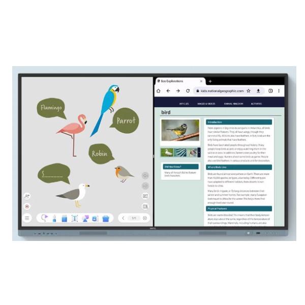 BenQ RM6504, 165,1 cm (65ʺ), 1428,5 x 803,4 …