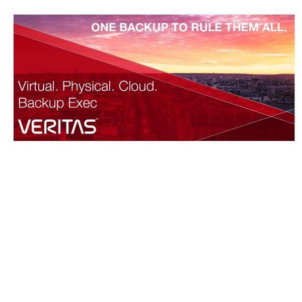 Veritas Essential Support - Supporto tecnico (rinnovo) - per VERITAS Backup Exec V-Ray Edition - licenza On-Premise - 1 CPU - aziendale - CLP - consulenza telefonica - 1 anno - 24x7 - tempo di risposta: 30 min
