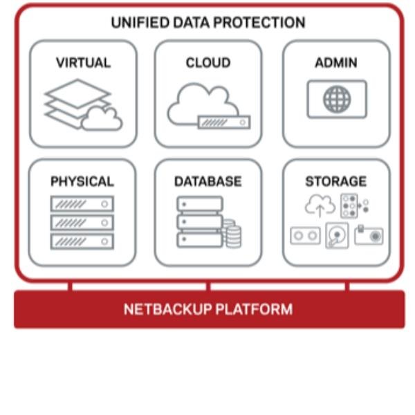 Veritas Essential Support - Supporto tecnico (rinnovo) - per Veritas NetBackup Shared Storage Option - licenza On-Premise - 1 unita' - aziendale - CLP - consulenza telefonica - 1 anno - 24x7 - tempo di risposta: 30 min