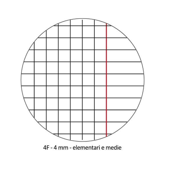 Quaderno Pigna A4 20 fogli copertina cartone plastificato …