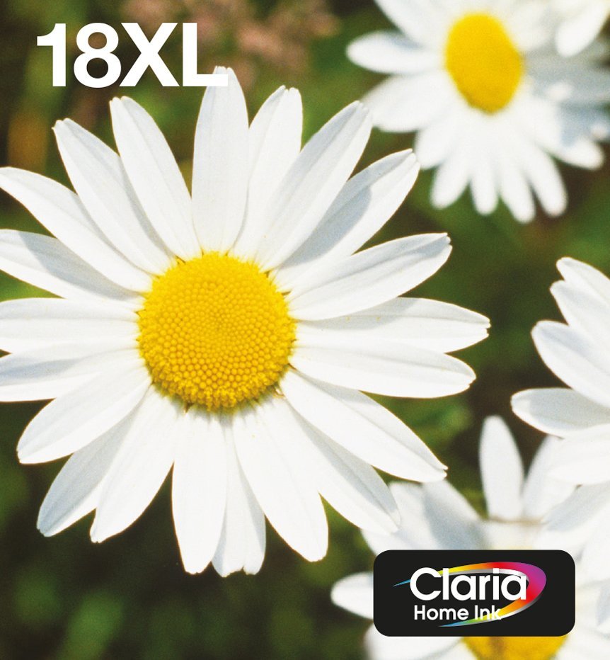 Epson 18XL Multipack Easy Mail Packaging - Confezione da 4 - 31.3 ml - XL - nero, giallo, ciano, magenta - originale - blister - cartuccia d'inchiostro - per Expression Home XP-212, 215, 225, 312, 315, 322, 325, 412, 415, 422, 425