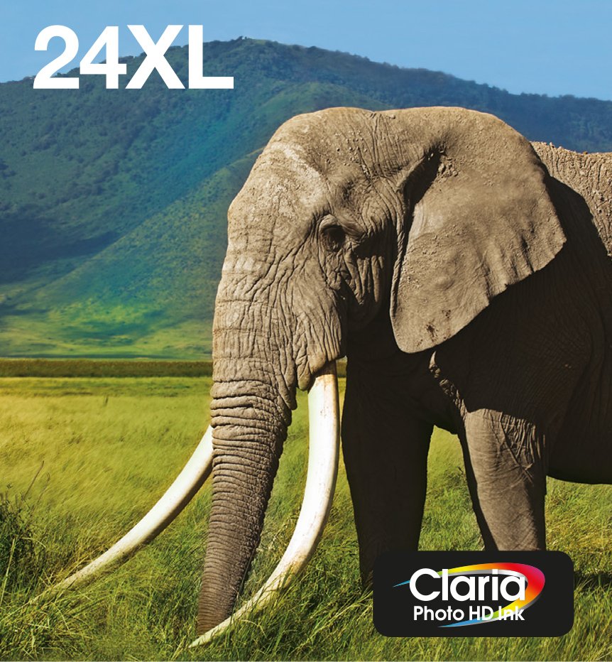 Epson 24XL Multipack Easy Mail Packaging - Confezione …