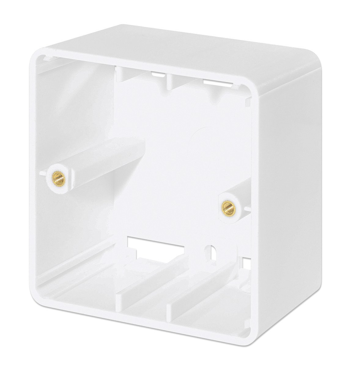 Intellinet 771894 Scatola NAT per presa 2xRJ45