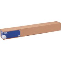 EPSON PHOTO PAPER GLOSS(250) IN ROTOLI