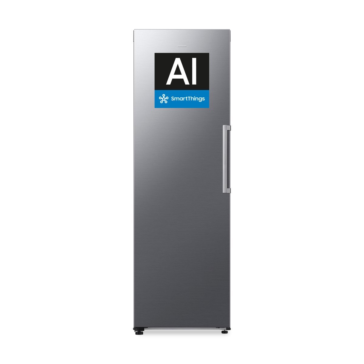 SAMSUNG FREEZER MONOPORTA SILVER CL. D