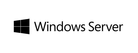 Microsoft Windows Server 2019 Essentials Edition - Licenza …