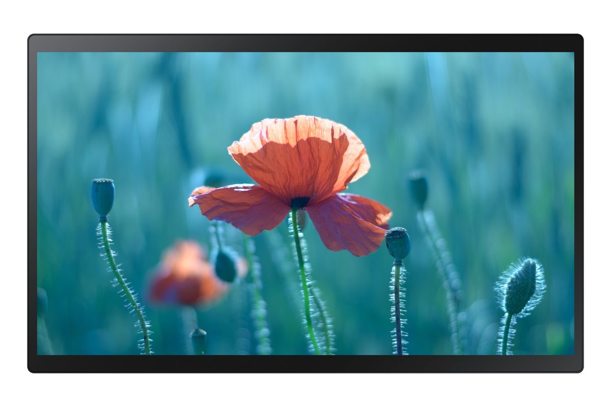 Monitor Digital Signage - QB24R-TB