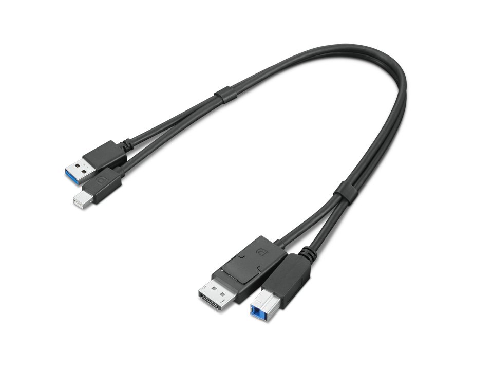 Lenovo Dual Head - Kit cavo display/USB - …