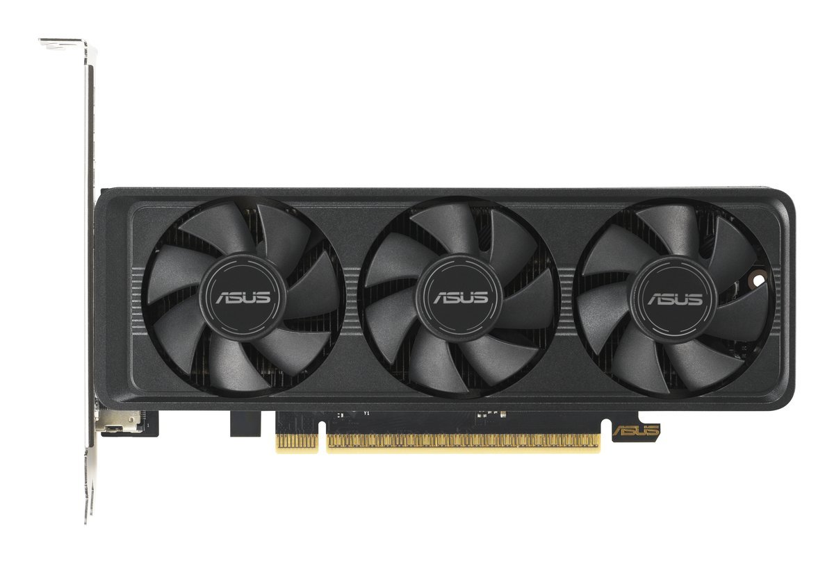 ASUS RTX5060-O8G-LP-BRK NVIDIA GeForce RTX 5060 8 GB …