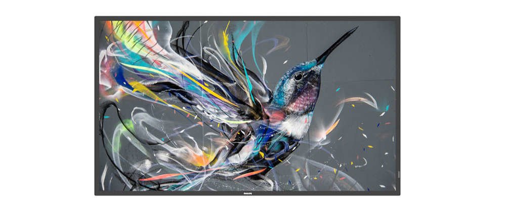 Philips 65BDL3511Q - 65" Categoria diagonale (64.5" visualizzabile) …