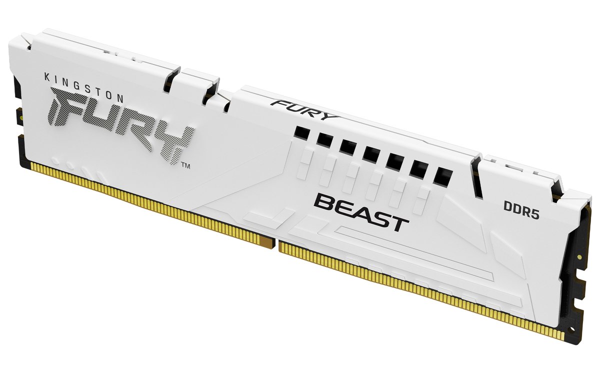 Kingston FURY Beast - DDR5 - modulo - …