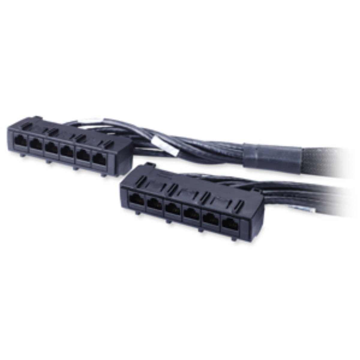 APC Data Distribution Cable - Cavo di rete …
