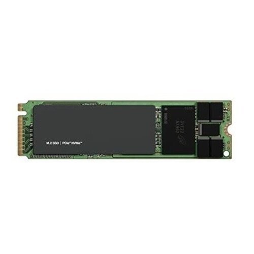 DELL TECHNOLOGIES 960G NVME READ INTENSIVE FIPS-140