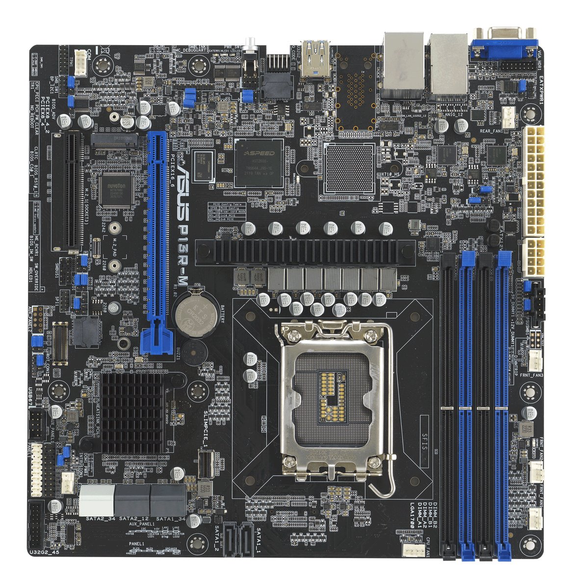 ASUS P13R-M - Scheda madre - micro ATX …