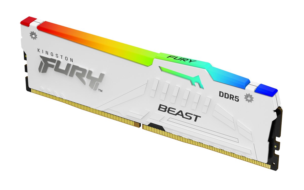 Kingston FURY Beast RGB - DDR5 - modulo …