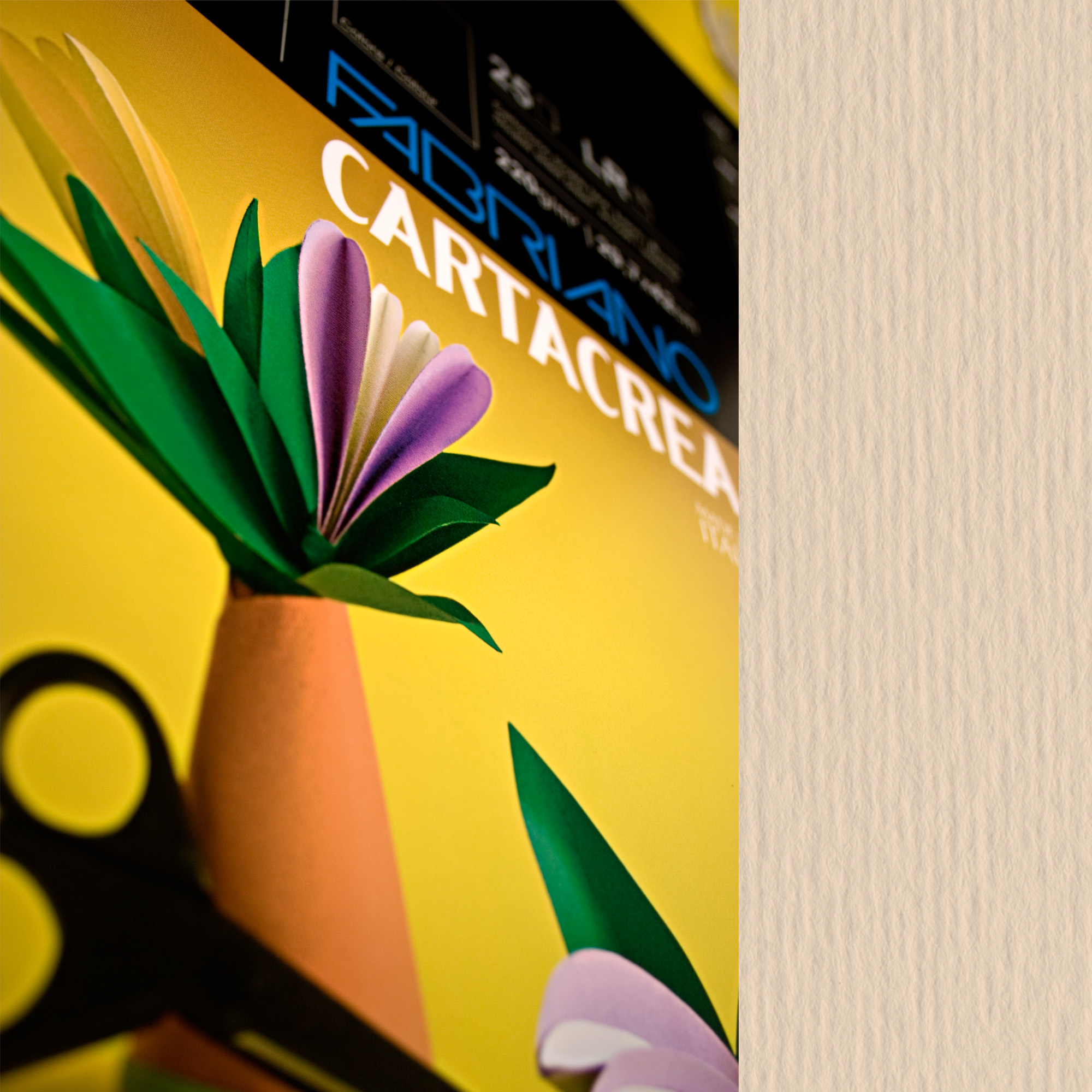 Cartoncino CartaCrea - 35 x 50 cm - …