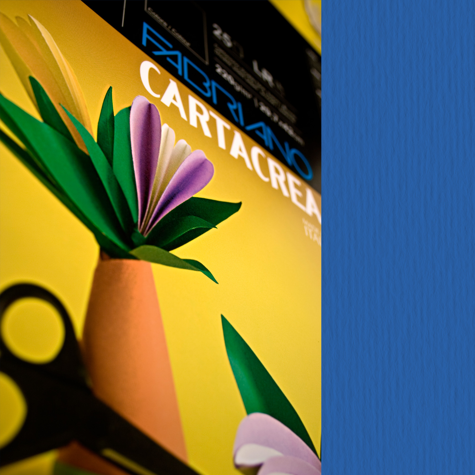Cartoncino CartaCrea - 35 x 50 cm - …